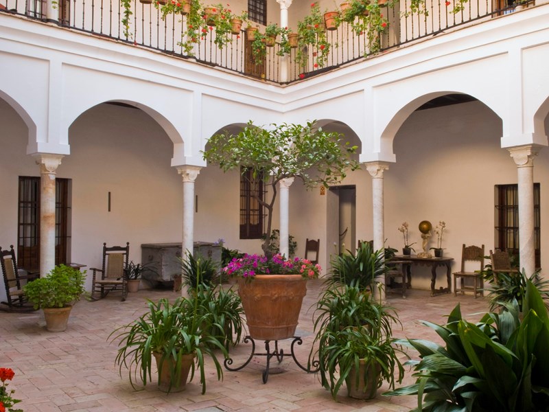 Jardins intérieurs parfumés de fleur d’oranger