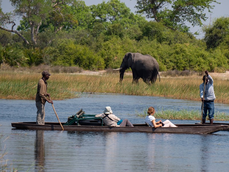 Observez les animaux en pirogue traditionnelle