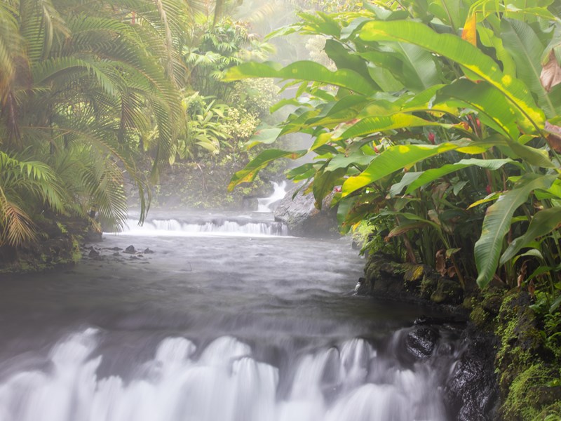 Sources chaudes naturelles au pied du volcan