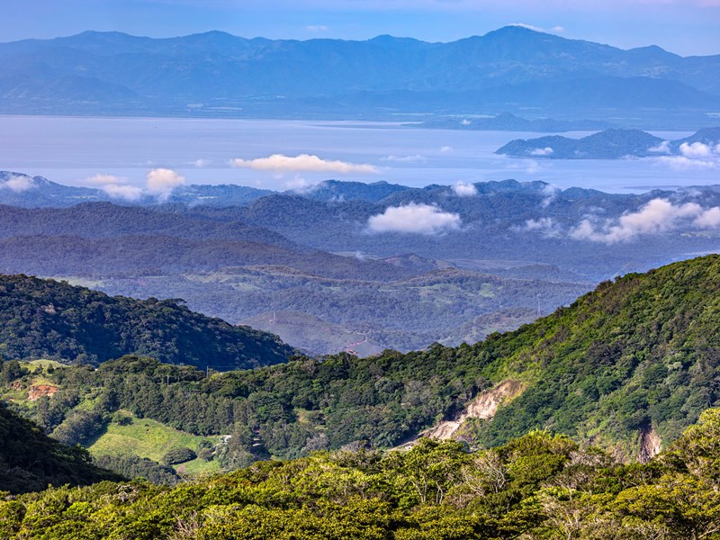 Écosystèmes fascinants au cœur de Monteverde