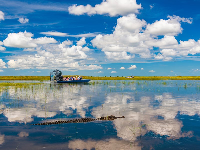Découvrez les Everglades à bord d'un airboat