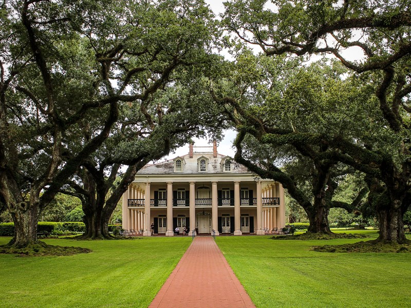 La plantation Oak Alley et son allée de chênes