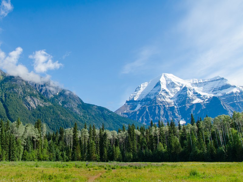 Admirez le Mont Robson