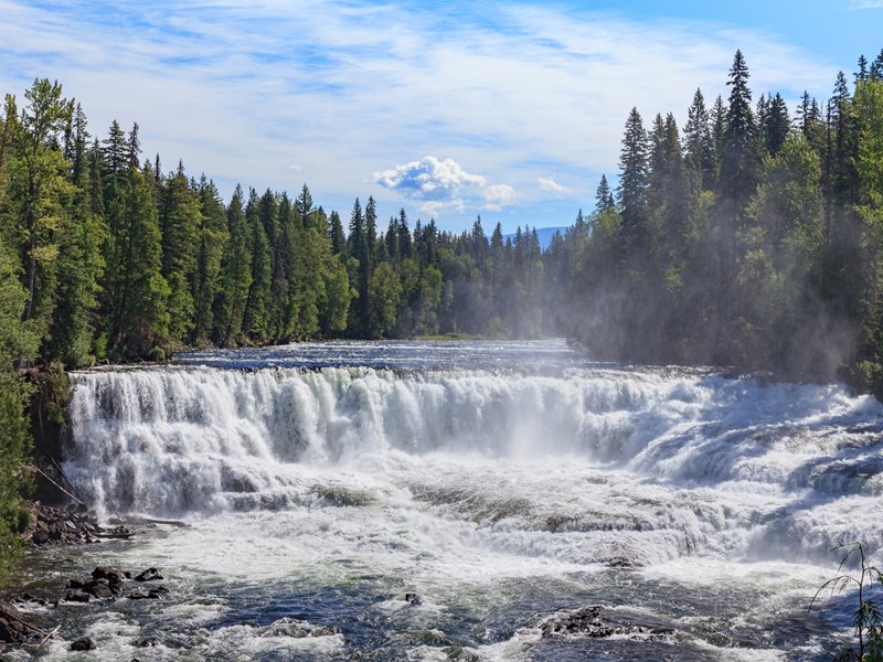 Dawson Falls