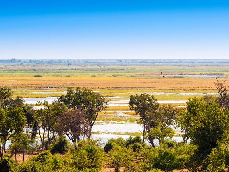 Rejoignez le parc national de Chobe