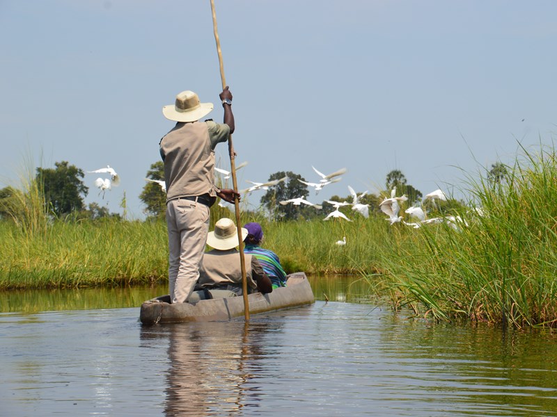 Naviguez sur les eaux à bord d'un Mokoro