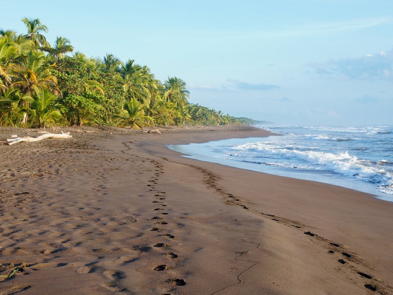 Admirez la beauté des plages de sable noir de Tortuguero