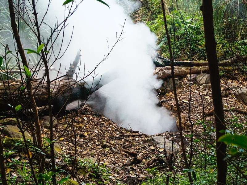 Les fumerolles autour du volcan Rincon de la Vieja