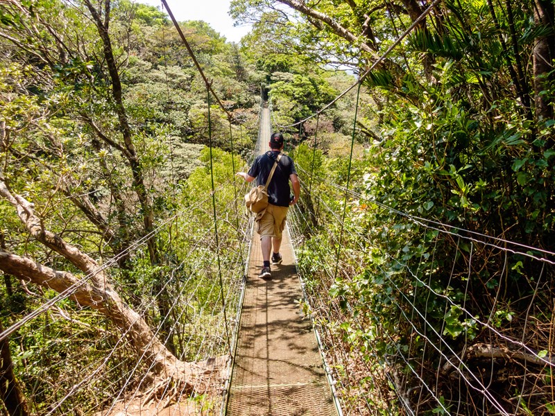 Arpentez les ponts suspendus du parc Rincon de la Vieja