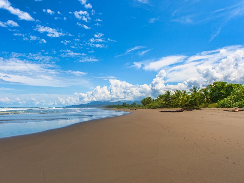 Promenez vous sur la plage de Nosara