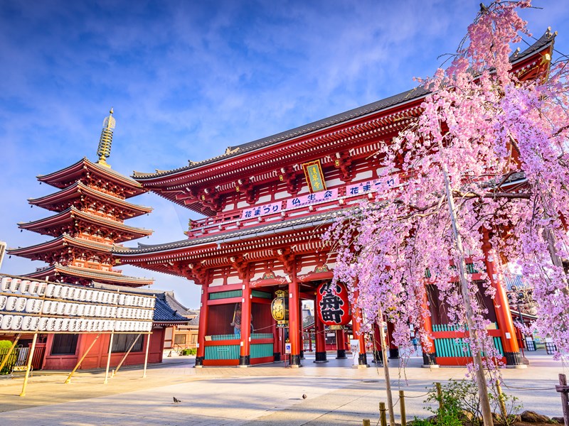 Temple Sensoji, cœur spirituel d’Asakusa