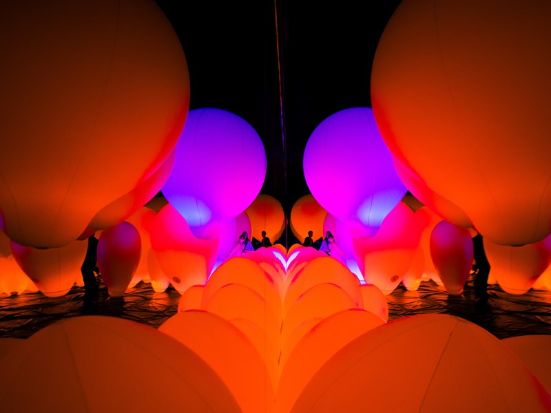 Art lumineux et coloré au TeamLab Borderless