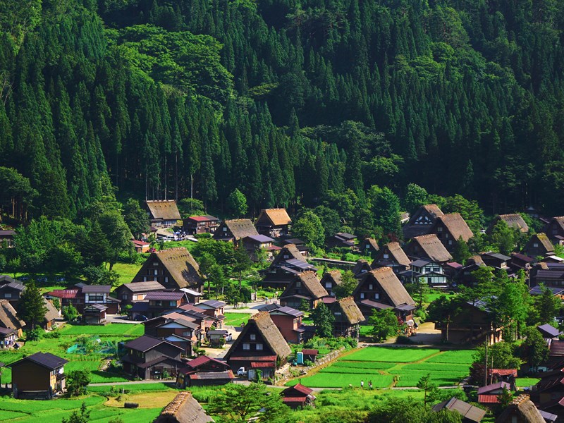 Village historique de Shirakawa-Go, préfecture de Gifu