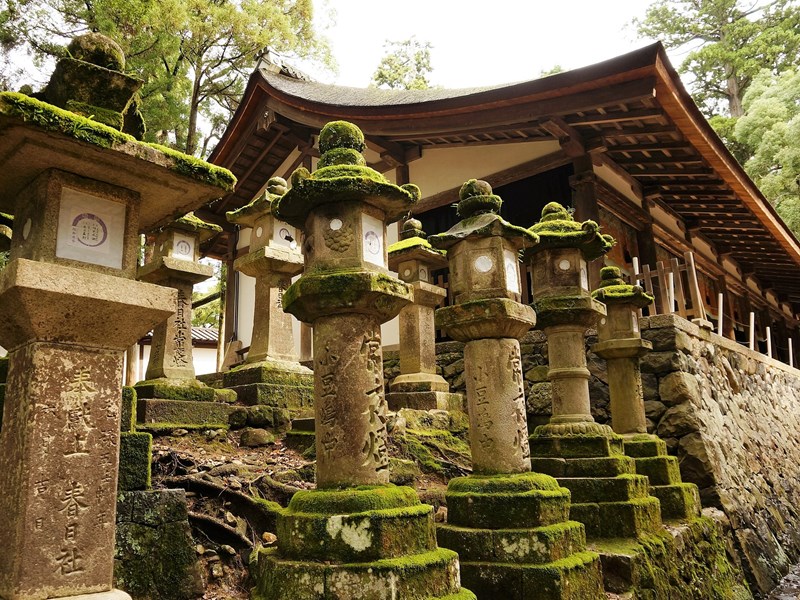 Nara et ses temples traditionnels de charme