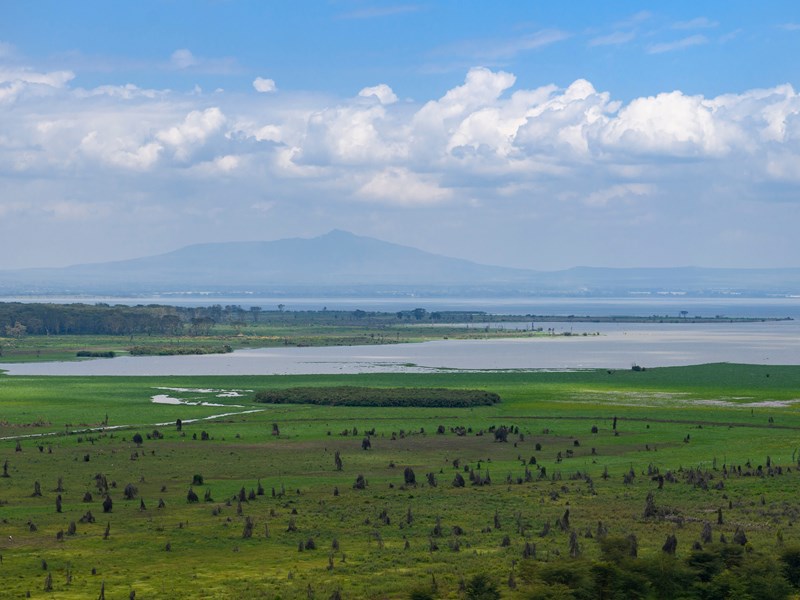 Lac Naivasha, écrin naturel entre eau douce et savane