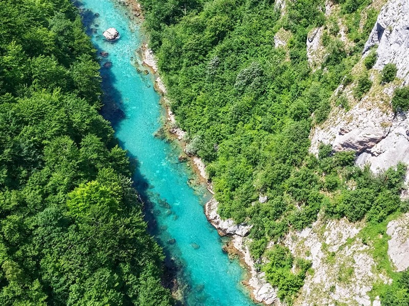 La rivière Tara