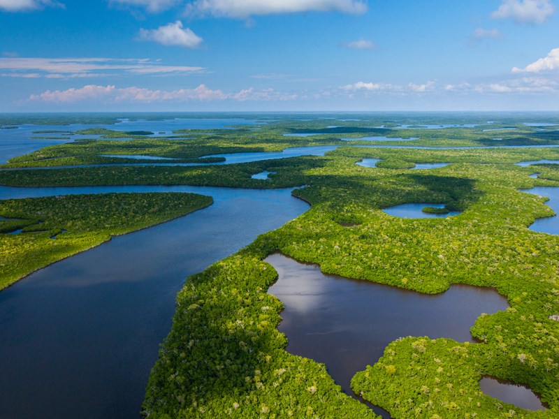 Parcourez le Parc National des Everglades