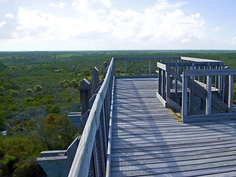 Profitez de la nature du Jonathan Dickinson State Park