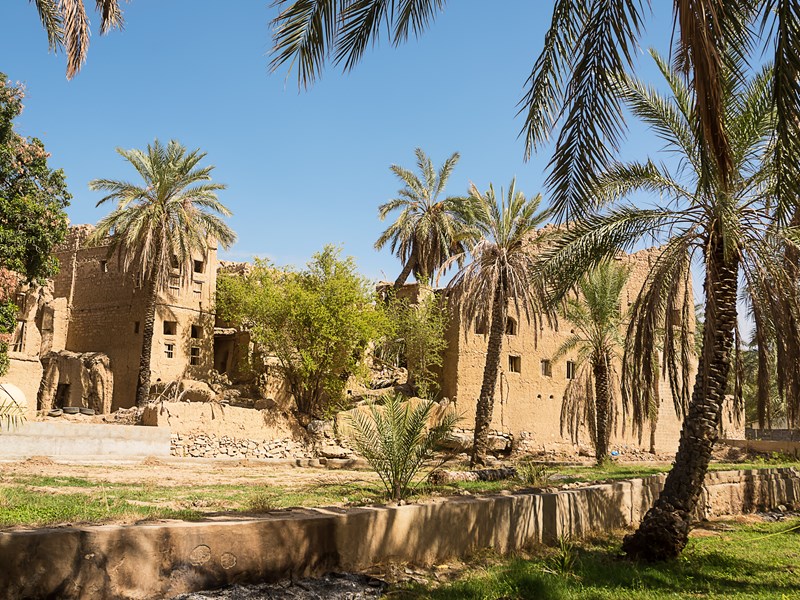 Al Hamra, un village au cœur d’une oasis luxuriante