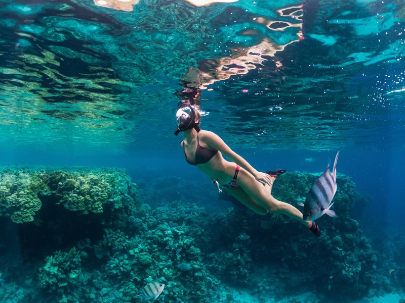 Faites du snorkeling dans les Caraïbes 