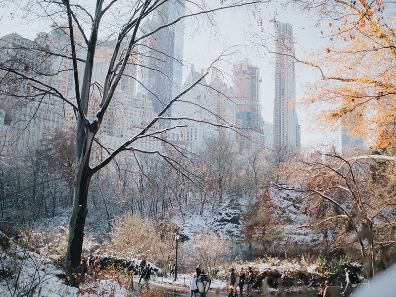 Central Park vous offrira un spectacle unique si vous avez la chance de le voir vêtu de son manteau blanc 