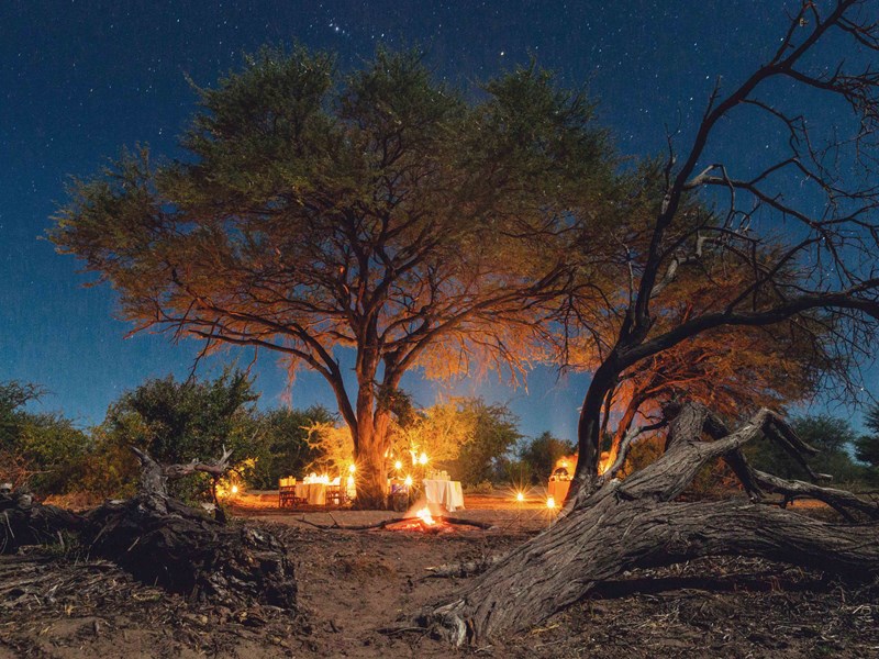 Dîner au coeur de la brousse