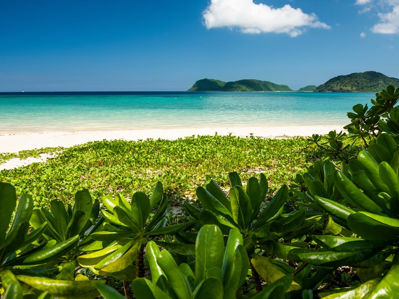 Iriomote et sa nature sauvage