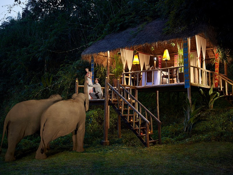 Vivez au coeur d'un merveilleux sanctuaire d'éléphants, à l'Anantara Golden Triangle