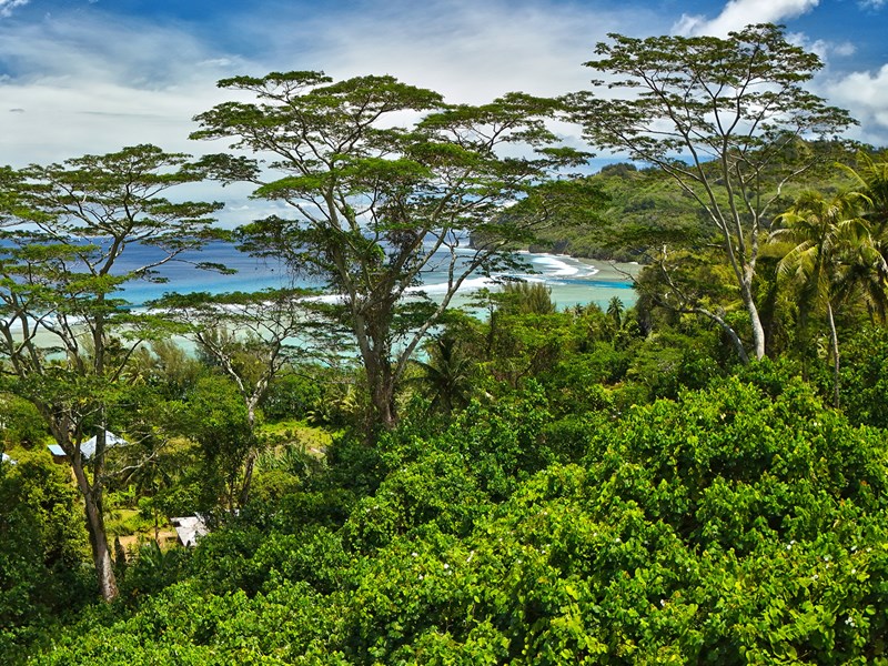 Immersion en pleine nature