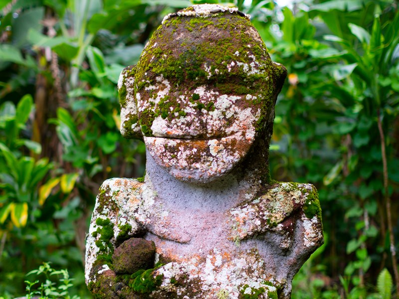 Découvrez les tiki souriants