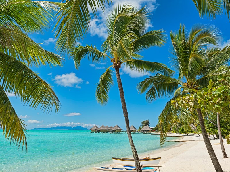Le charme irrésistible de Bora Bora