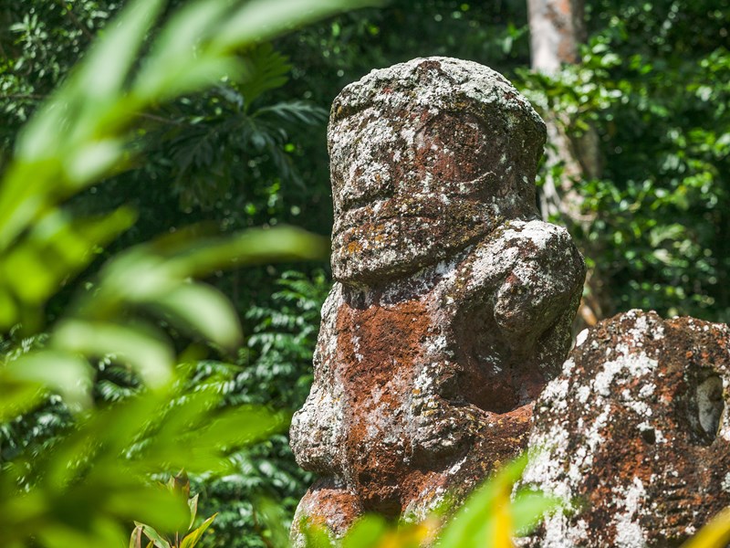 Les célèbres Tikis polynésien
