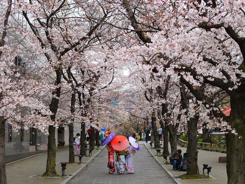 Des scènes de vie traditionnelles