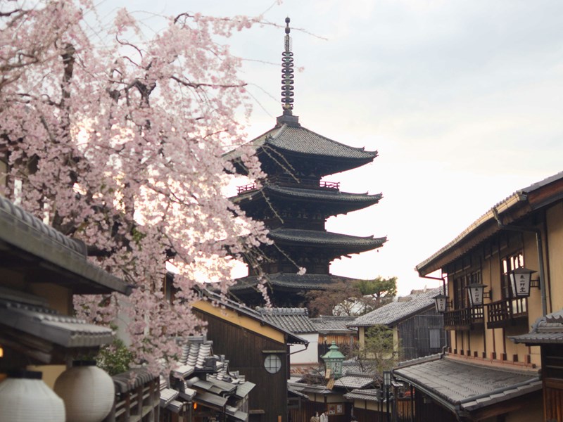 Le quartier de Gion à Kyoto sous les cerisiers