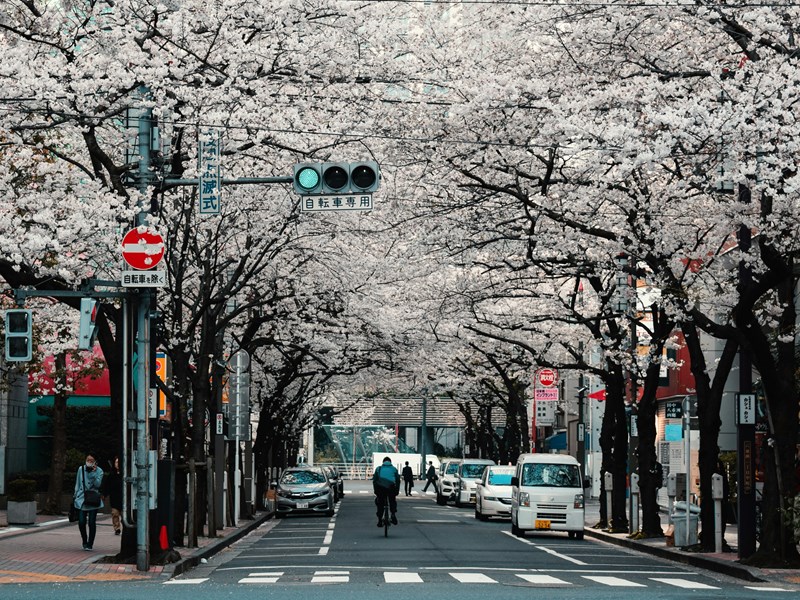 Les rues des capitales culturelles