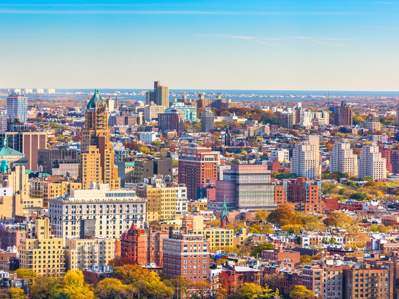 Vue aérienne emblématique des toits de Brooklyn