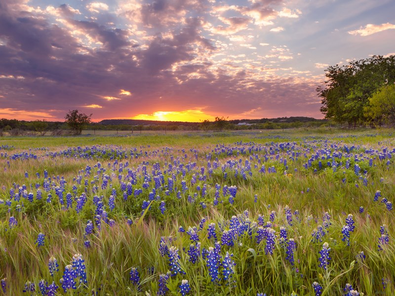 Puis direction le Texas où vous découvrirez de superbes paysages