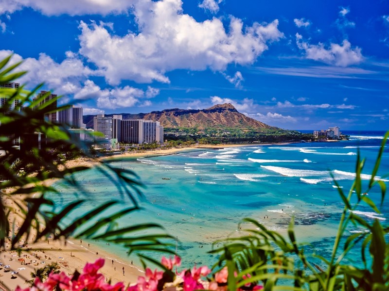 Longez une des plus belles plages d'Oahu, Waïkïkï Beach