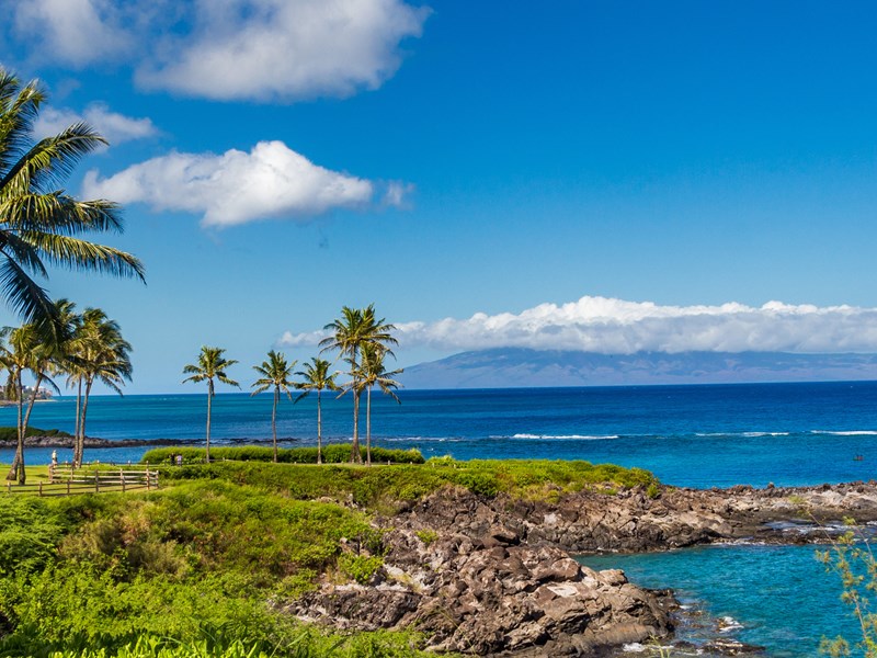 La terre volcanique de Maui