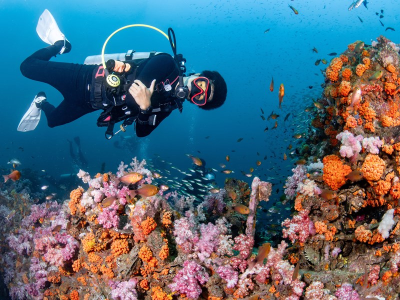 Épave King Cruiser, île Phi Phi