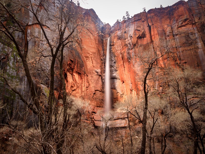 Cascade au Zion National Park