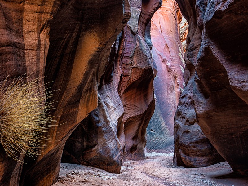 Buckskin Gulch, un lieu hors des sentiers battus