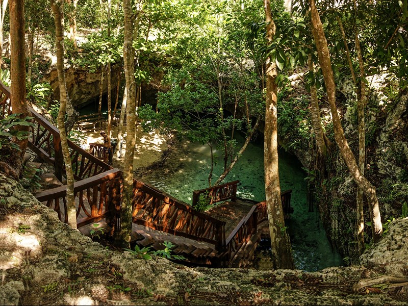 Gran Cenote, au coeur d'un jardin luxuriant