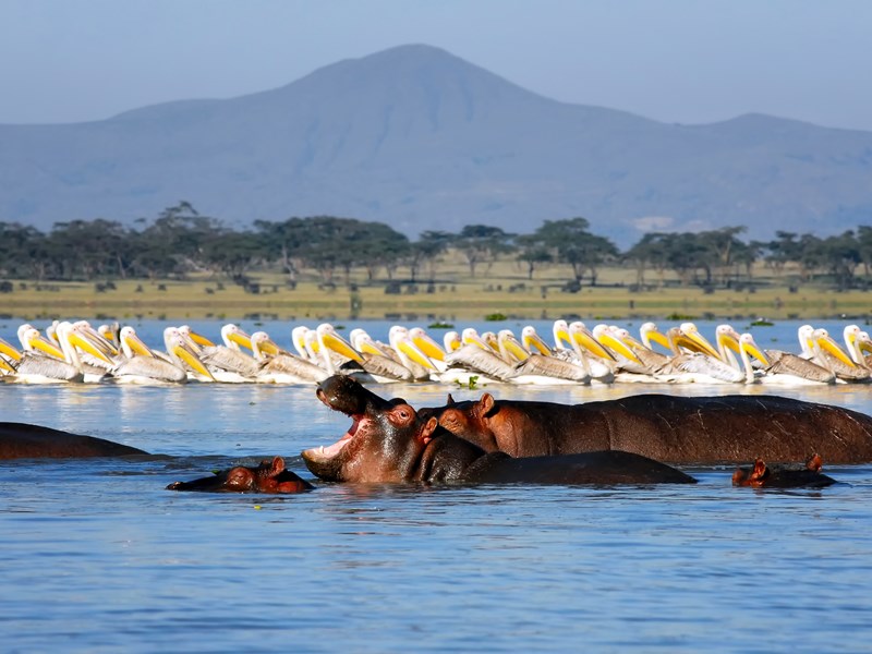 lac Naivasha