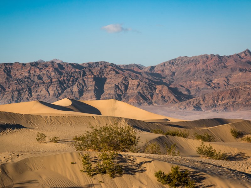 Les dunes dorées de Mesquite Flat