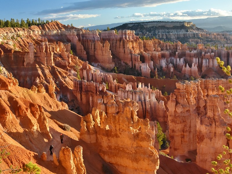 Panoramas grandioses depuis le Bryce Amphitheater