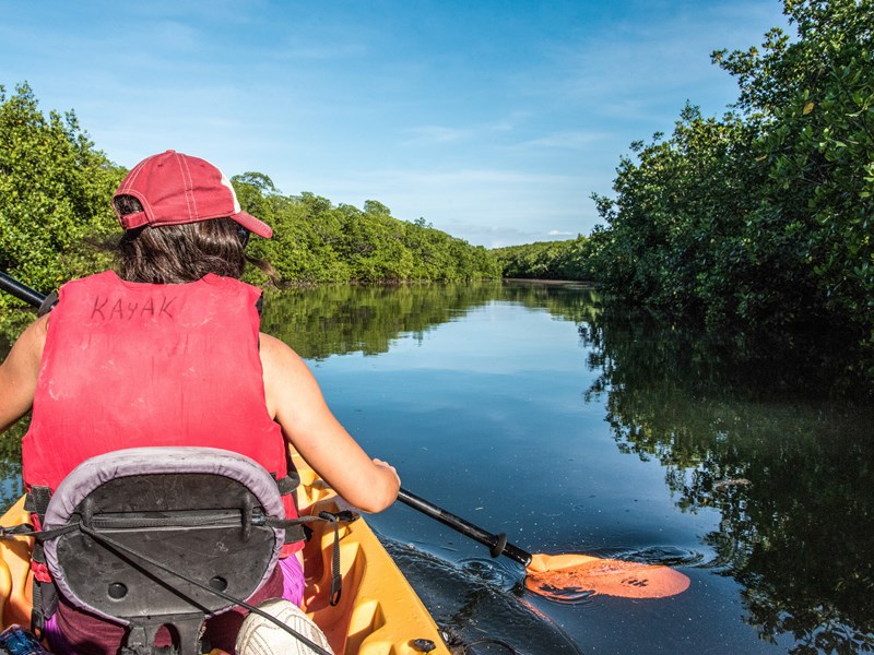 Explorez les Everglades en kayak