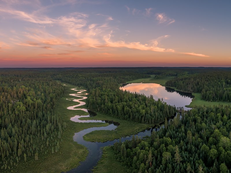 Plongez dans une nature sublime, entre forêts et rivières