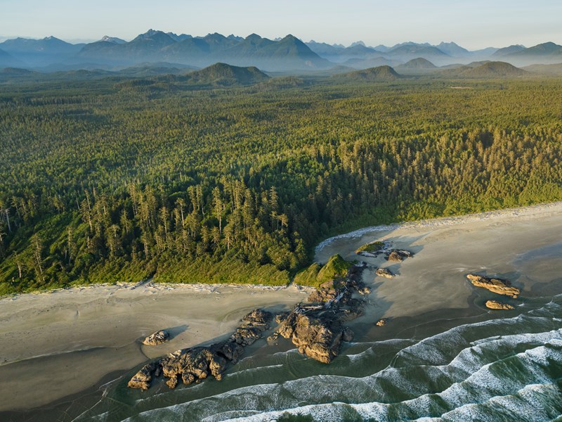 Pacific Rim et ses immenses plages
