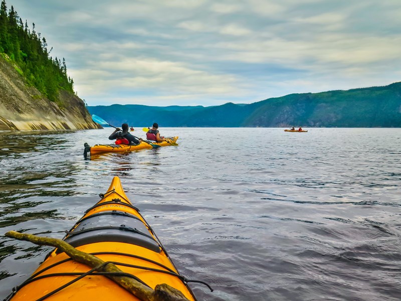 Un parc à découvrir lors d'une sortie en kayak